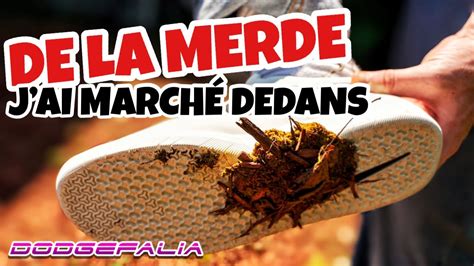 Jai Mis Le Pied Dans Dla Merde‼️‼️ 💩 🤯🤬 Youtube