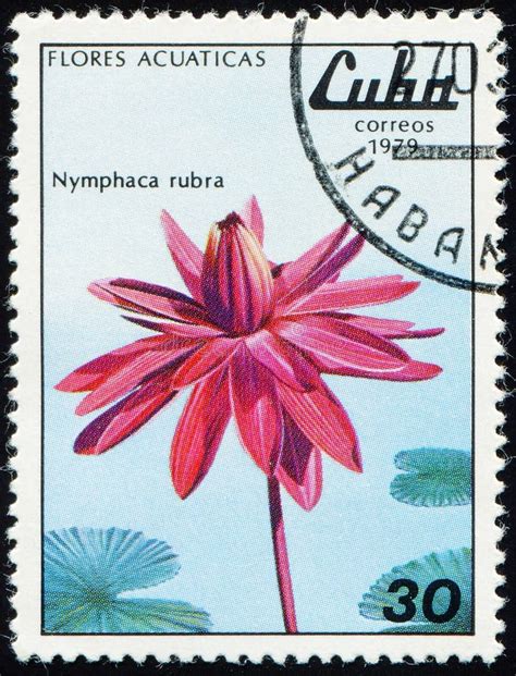 CUBA CIRCA 1979 Stamp 30 Cuban Centavo Printed By Cuba Shows