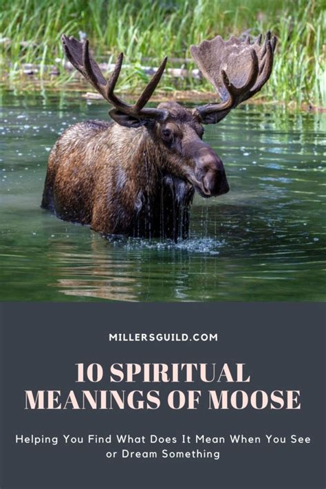 10 Spiritual Meanings Of Moose