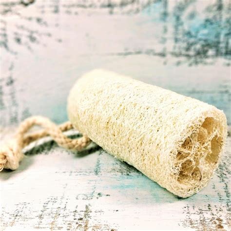 Loofah Luffa Etsy