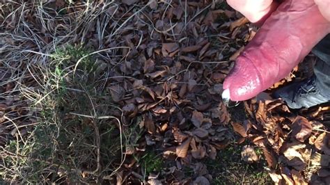 Slomo Jerk Off In The Woods Free Man Porn F7 XHamster XHamster