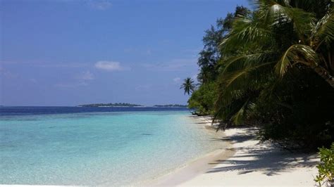 Le Migliori Cose Da Vedere E Fare A Biyaadhoo Island Nel