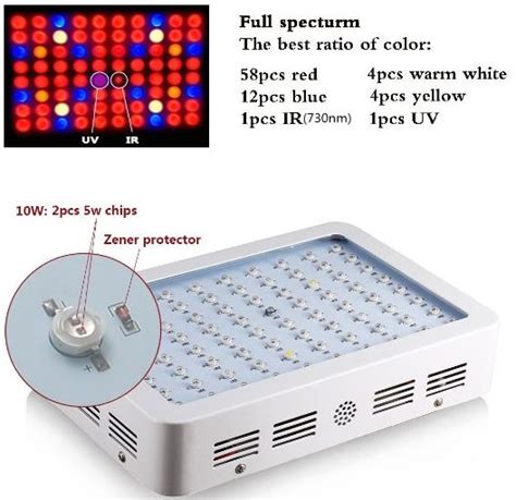 King Plus Double Chip Led Grow Light Review