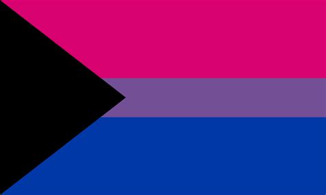 Demibisexual Pride Flag Pride Nation