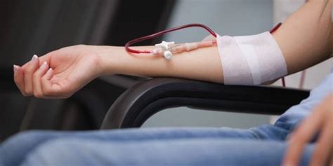 Donar Sangre Durante La Menstruación ¿sí O No Nueva Mujer