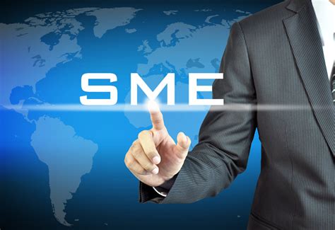 Small Medium Sized Enterprises Smes Beyond Consulting