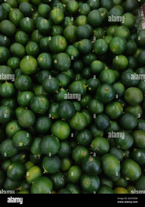 Calamansi Also Known As Calamondin Philippine Lime Or Lemon Its Native To The South East Asia