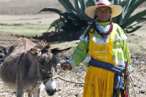 Vestimenta Tipica De Tultitlan Imagui