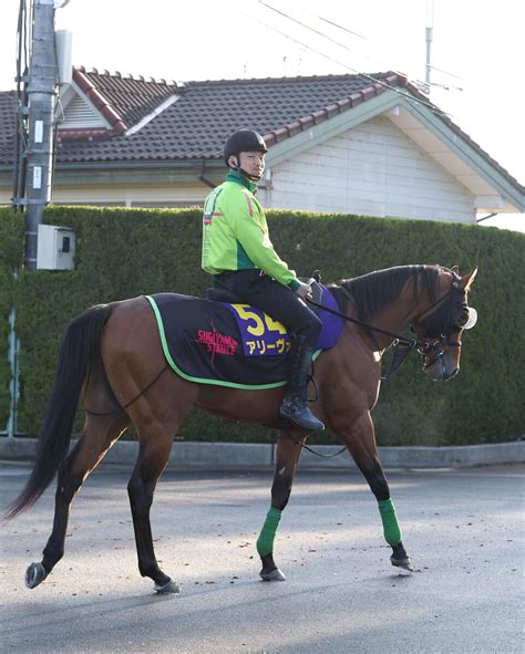 【大阪杯】アリーヴォは、小倉大賞典vの勢いを持って菊花賞以来のg1に挑む スポーツ報知