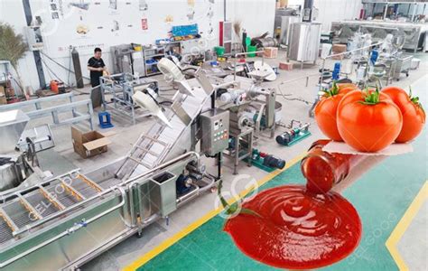 Small Scale Tomato Paste Production Line Tomato Paste Manufacturing Process