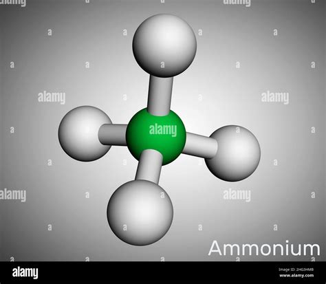 Ammonium Ion Hi Res Stock Photography And Images Alamy