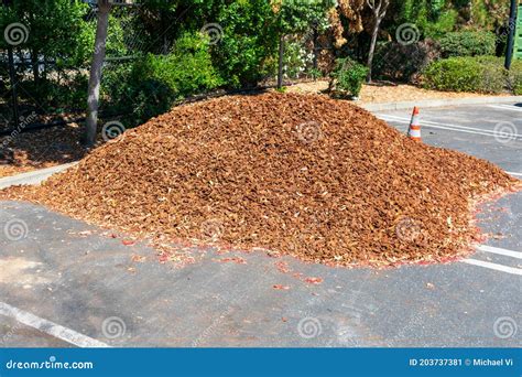 A Big Pile of Mulch on Parking Lot for Use in Landscaping Service Stock ...