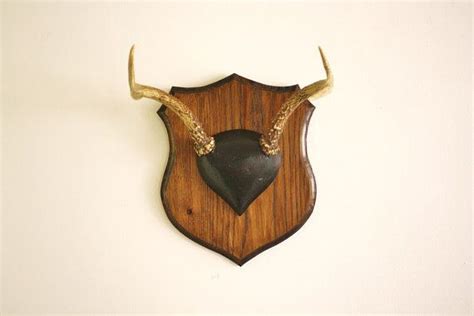 Vintage Deer Antlers Mounted On A Solid Wood By Highstreetmarket Deer