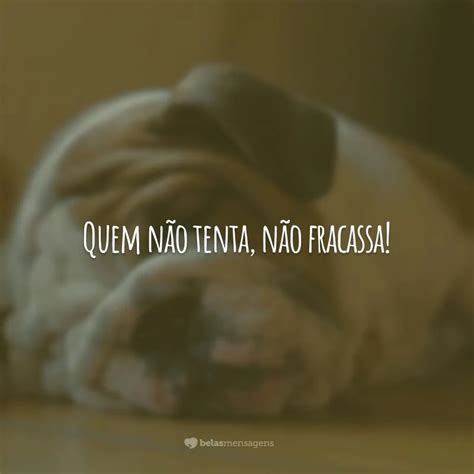 Frases De Fracasso Para Sacudir A Poeira E Seguir Em Frente