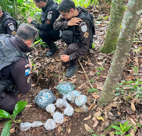 Pm Apreende Drogas Em Volta Redonda E Barra Mansa A Voz Da Cidade