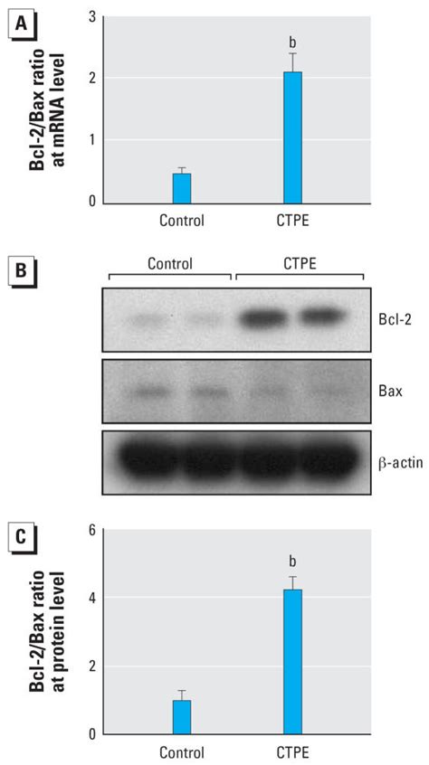 Effect Of Transformation On The Ratio Of Bcl 2 Bax At Transcription And