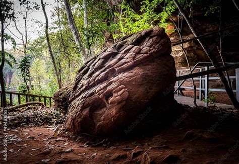 Naga Stone Rock Shave Like A Snake Head At Naked Cave Nakhon Phanom