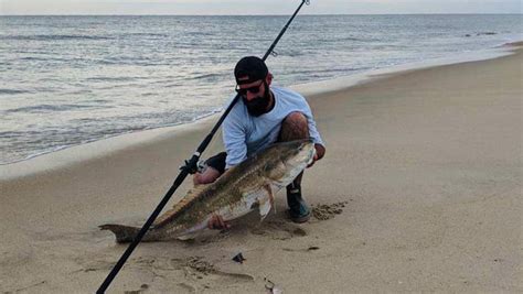 Ncbba Red Drum Tourney Successful The Coastland Times The Coastland