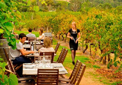 7 Consejos Para Hacer Enoturismo En Tu Bodega Curso Cata Del Vino