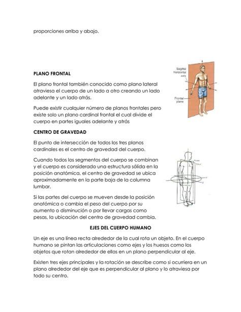 Planos Y Ejes Del Cuerpo Humano Pdf