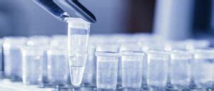 Function of taq DNA polymerase in PCR