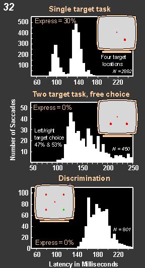 Slide Show The Neural Control Of Visually Guided Eye Movements D 5