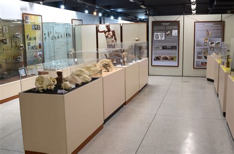 Museu de Ciências Naturais da UFPR comemora 29 anos Universidade