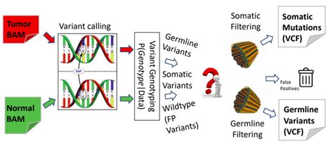 GitHub Mahendra687 Methods In Genomic Variant Calling The Basics Of