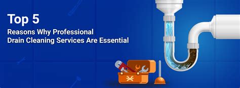 Reasons Why Professional Drain Cleaning Services Are Essential