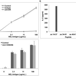 Characterization Of T Cell Hybridoma Clone 15HEL MN 5610 4 Well