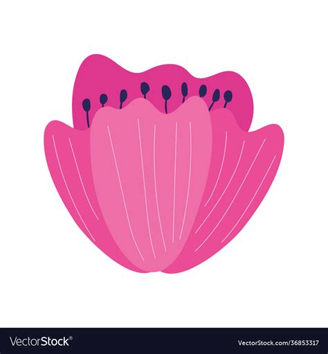 Flower garden purple Royalty Free Vector Image