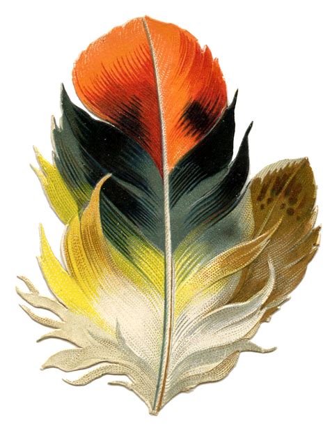 Antique Clip Art Fabulous Feather Autumn Tones The Graphics Fairy