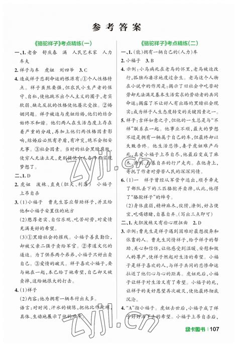 2023年学霸名著导读考点精练七年级下册答案——青夏教育精英家教网——