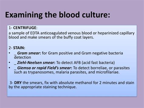 Ppt Blood Culture Powerpoint Presentation Free Download Id2032988