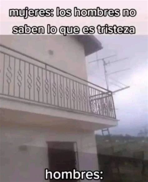 No puedo creer que sigas con vida Sufrí por ti lloré por ti Memes