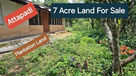 Agricultural Land For Sale 7 Acre Attapadi Platation Land 9388890009