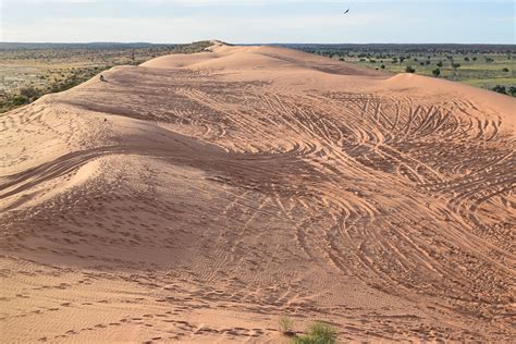 Big Red Sand Dune Eastern Edge Of Simpson Desert Debbie Borleis