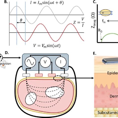 A BIA BIS Has Found Use In A Number Of Wearable Devices Which Have