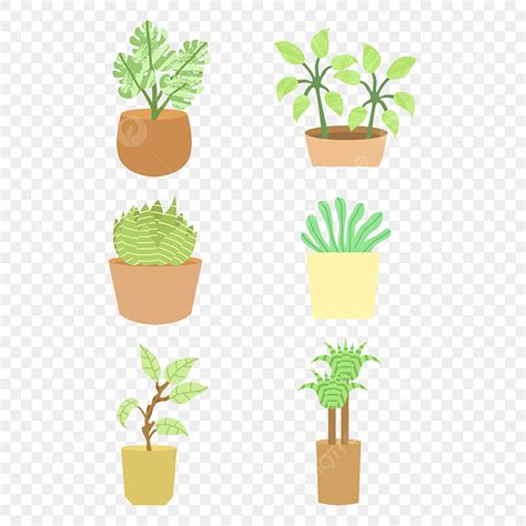 Hanging Flower Pots Vector PNG Images Potted Flowers Flowers Stickers