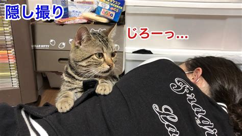 妹が寝てる間に猫がどんなイタズラをするのか密着してみた結果w Youtube