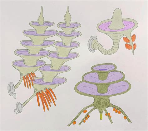 Chemosynthetic autotrophs of the canopy, Sciophytes. : r/Yss