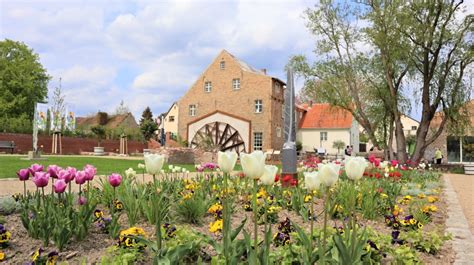 Feuer und Flamme für Beelitzer Museen Stadt Beelitz