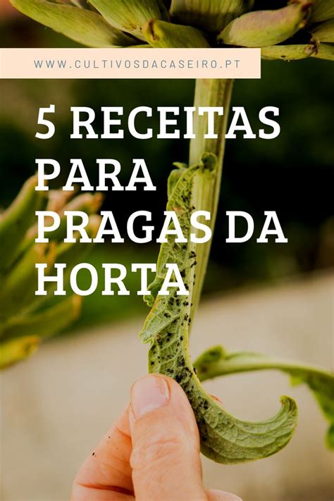 5 Receitas Para Pragas Da Horta Horta Adubo Organico Caseiro