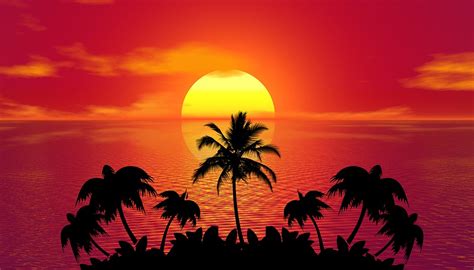 Tropical Ver O P R Do Sol Imagens Gr Tis No Pixabay