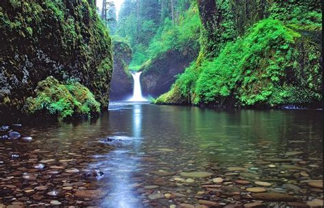 11 Top-Rated Hiking Trails near Portland, Oregon | PlanetWare