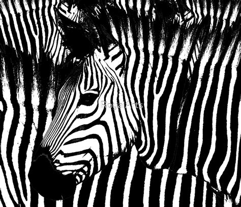 "Zebra Camouflage Stripes" by RoyalArts | Redbubble