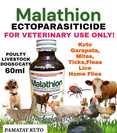 Malathion ECTOPARASITICIDE 57 Concentrate PAMATAY KUTO Ticks Fleas