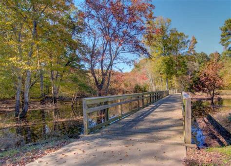 Neuse River Greenway Trail Images Neuse River Trail