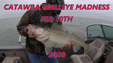 Winter Walleye Madness Trolling Catwaba Lake Erie Youtube