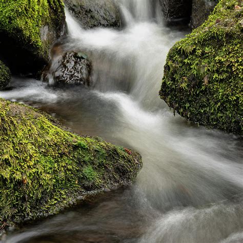 Stunning Peaceful Spring Landscape Image Of River Teign Flowing